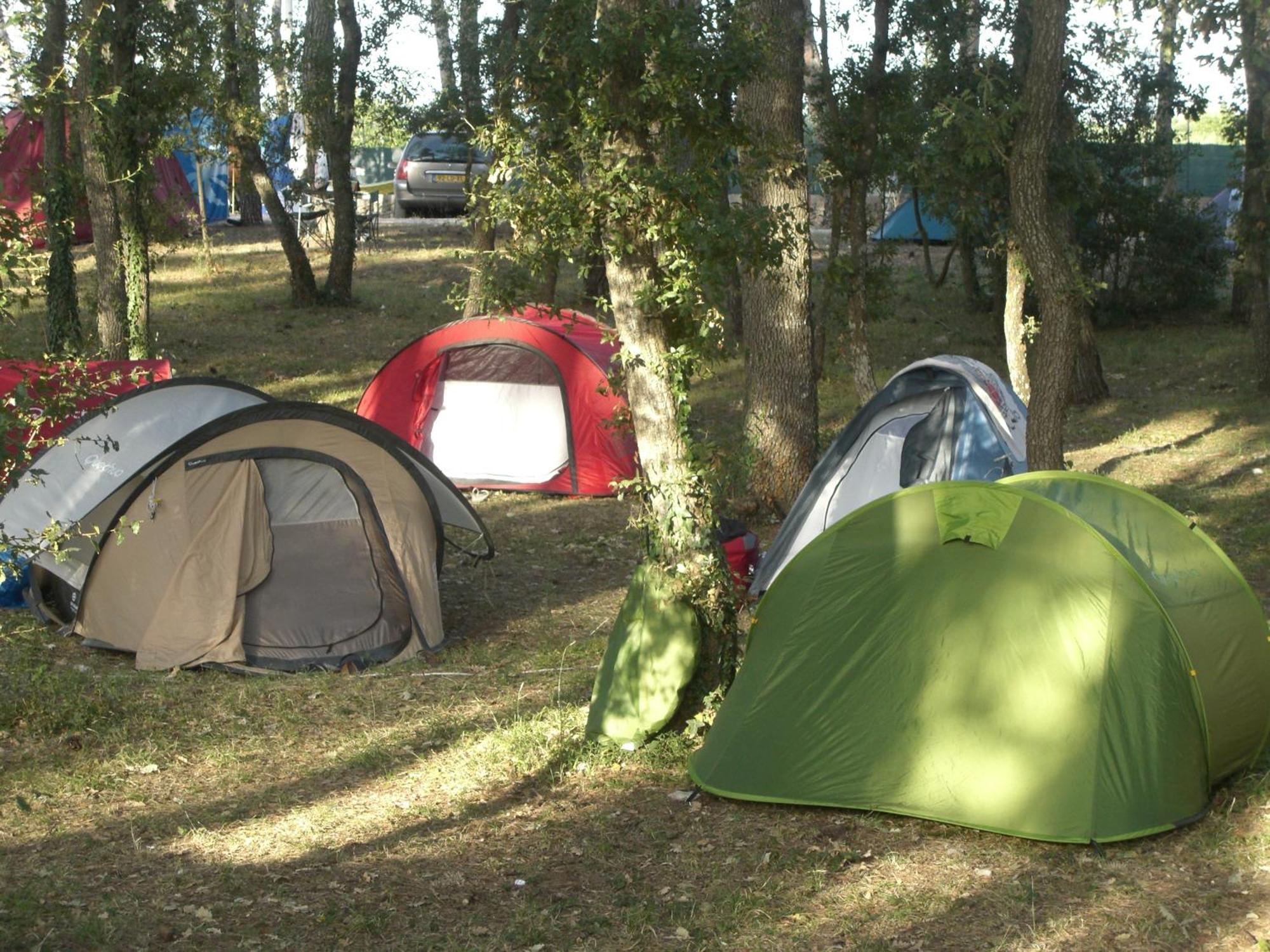 Villaggio Camping Bosco Selva Αλμπερομπέλο Εξωτερικό φωτογραφία