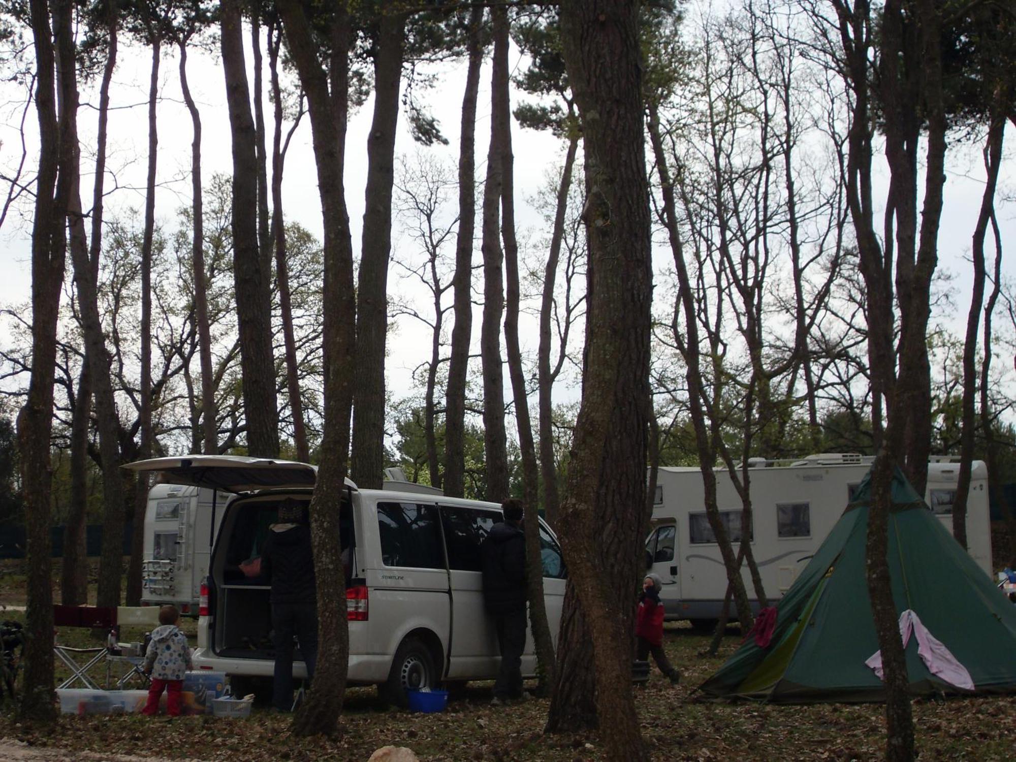 Villaggio Camping Bosco Selva Αλμπερομπέλο Εξωτερικό φωτογραφία