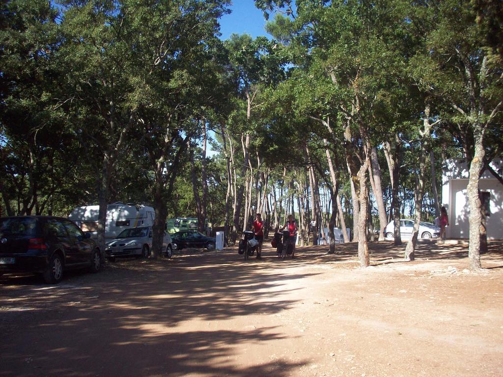 Villaggio Camping Bosco Selva Αλμπερομπέλο Εξωτερικό φωτογραφία