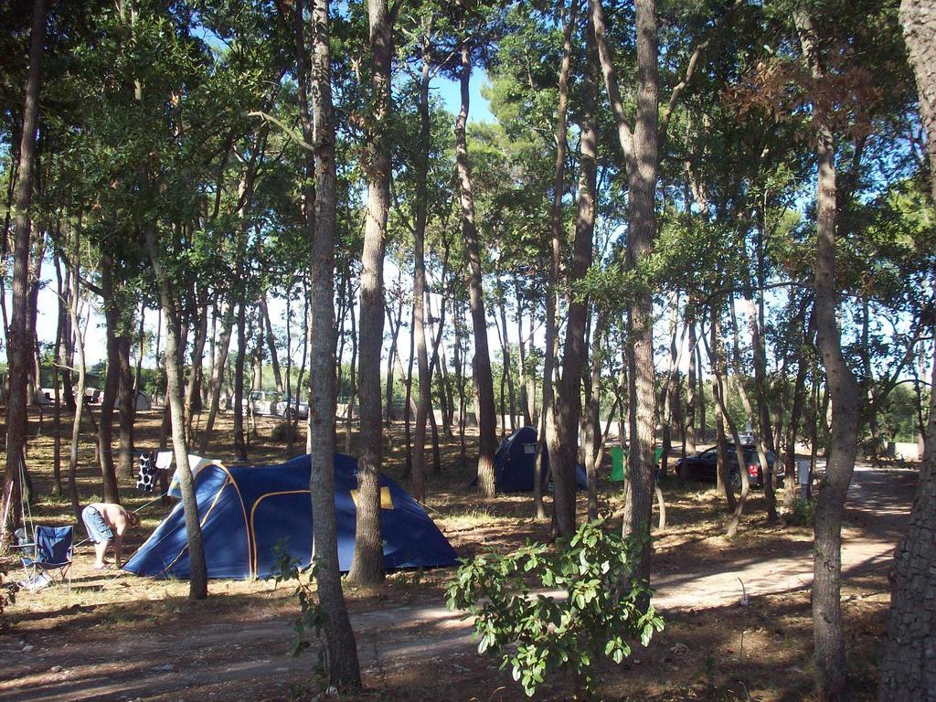 Villaggio Camping Bosco Selva Αλμπερομπέλο Εξωτερικό φωτογραφία