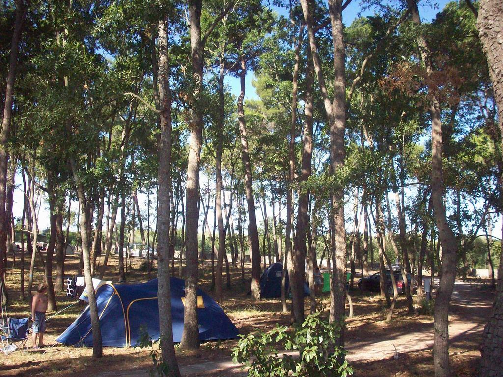 Villaggio Camping Bosco Selva Αλμπερομπέλο Εξωτερικό φωτογραφία