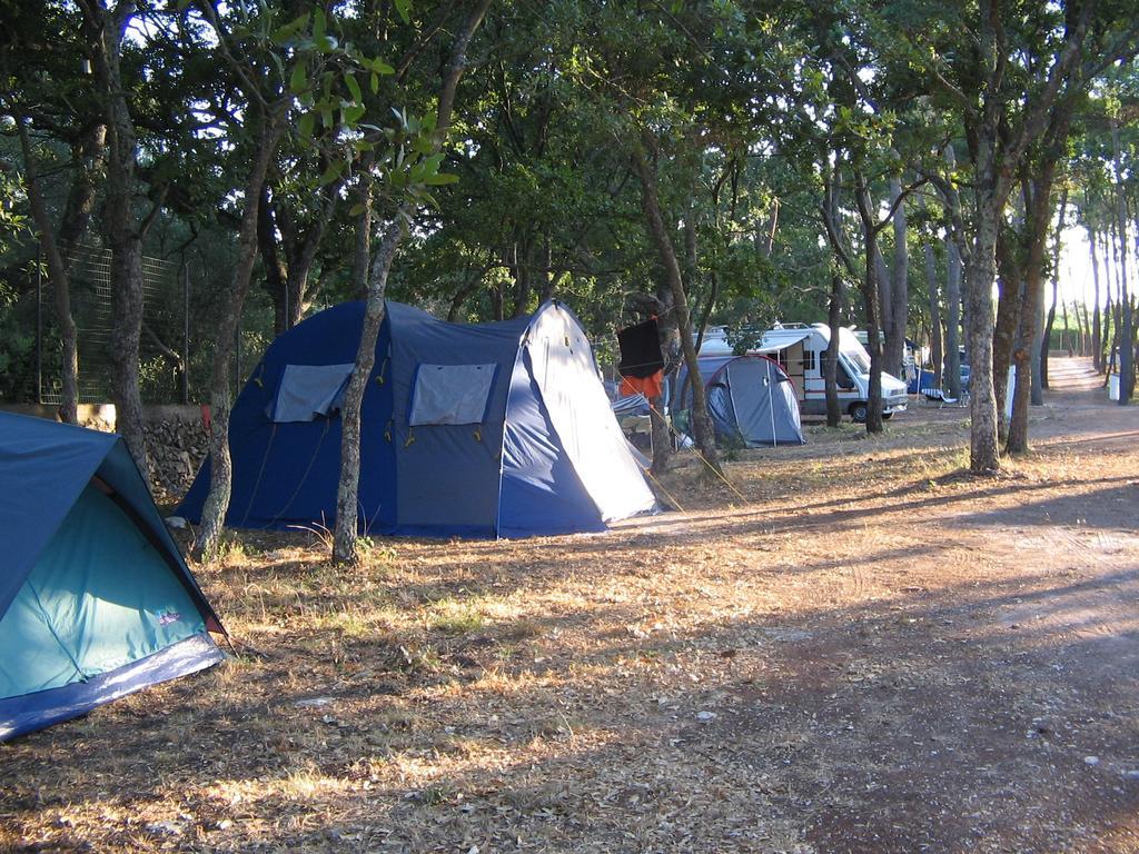 Villaggio Camping Bosco Selva Αλμπερομπέλο Εξωτερικό φωτογραφία