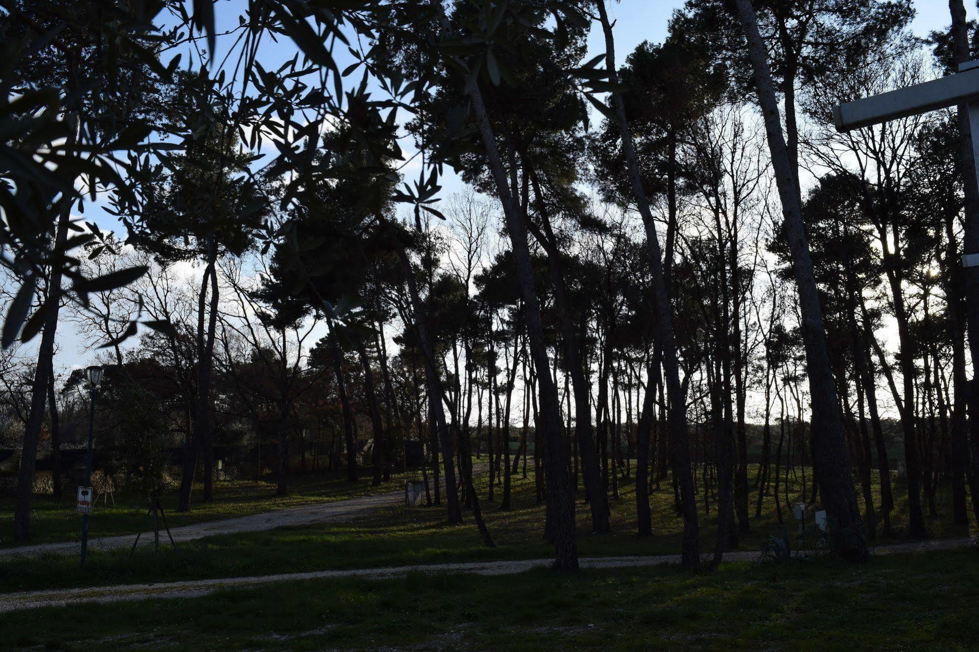 Villaggio Camping Bosco Selva Αλμπερομπέλο Εξωτερικό φωτογραφία